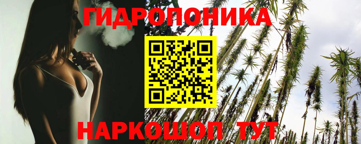 Касимов  Каннабис Amnesia  МАРИХУАНА SATIVA & INDICA  Вход с VPN 